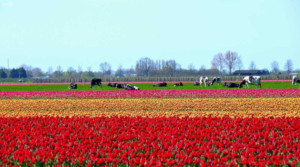 Markermeerlogies Bovenkarspel Ruang foto